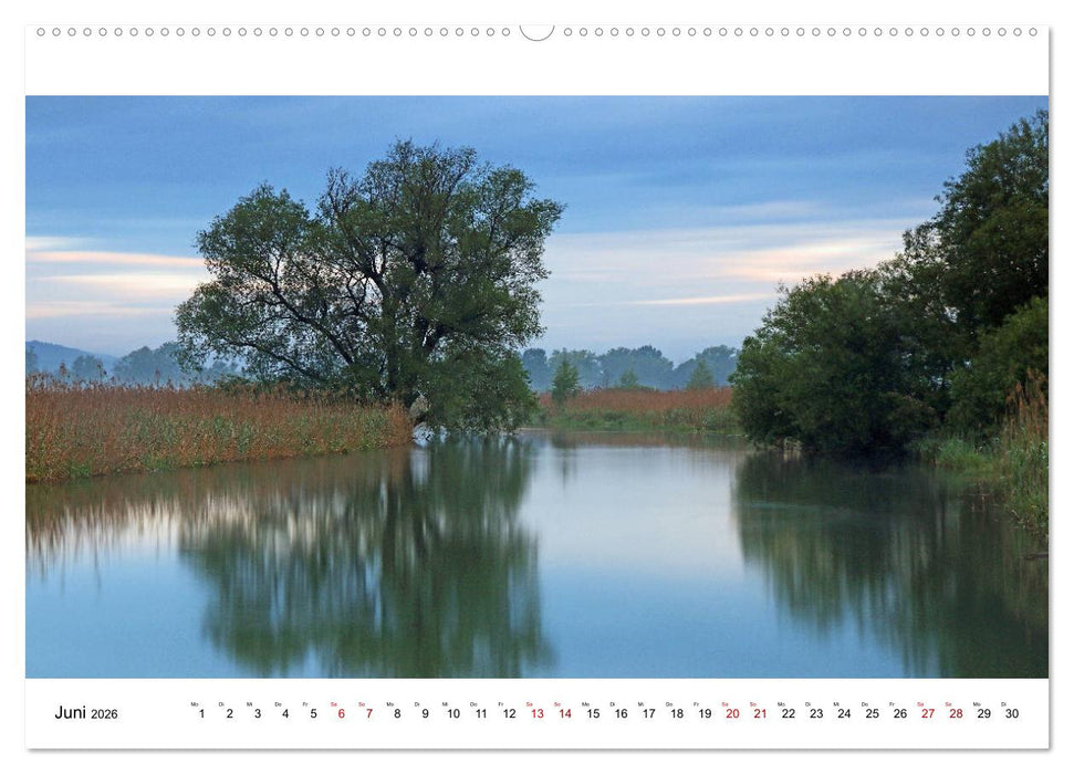 Hegau und See (CALVENDO Premium Wandkalender 2026)