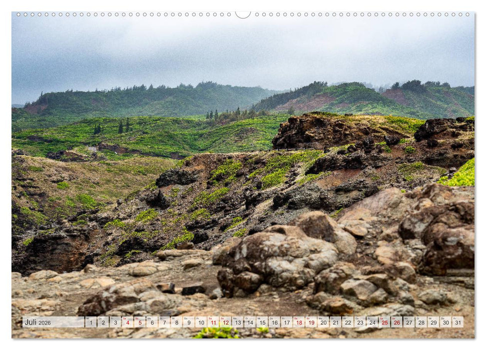 Aloha Hawaii (CALVENDO Premium Wandkalender 2026)