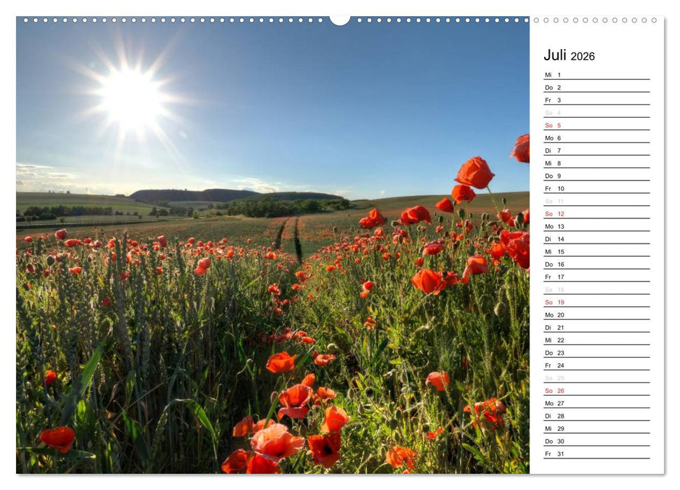 Ein Traum von Mohn (CALVENDO Premium Wandkalender 2026)