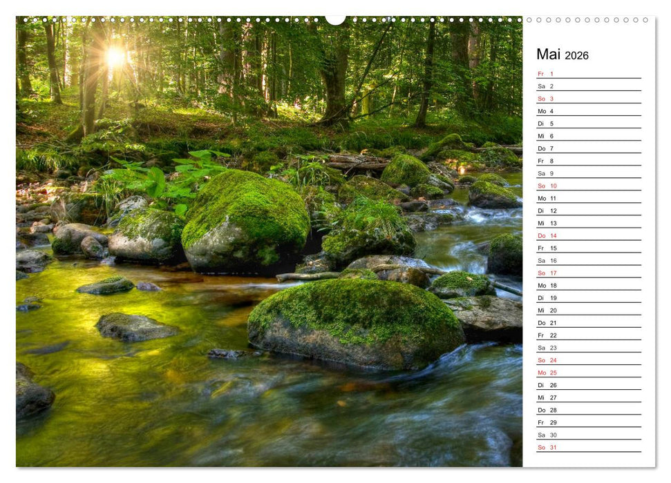 Landschaften im Harz (CALVENDO Premium Wandkalender 2026)