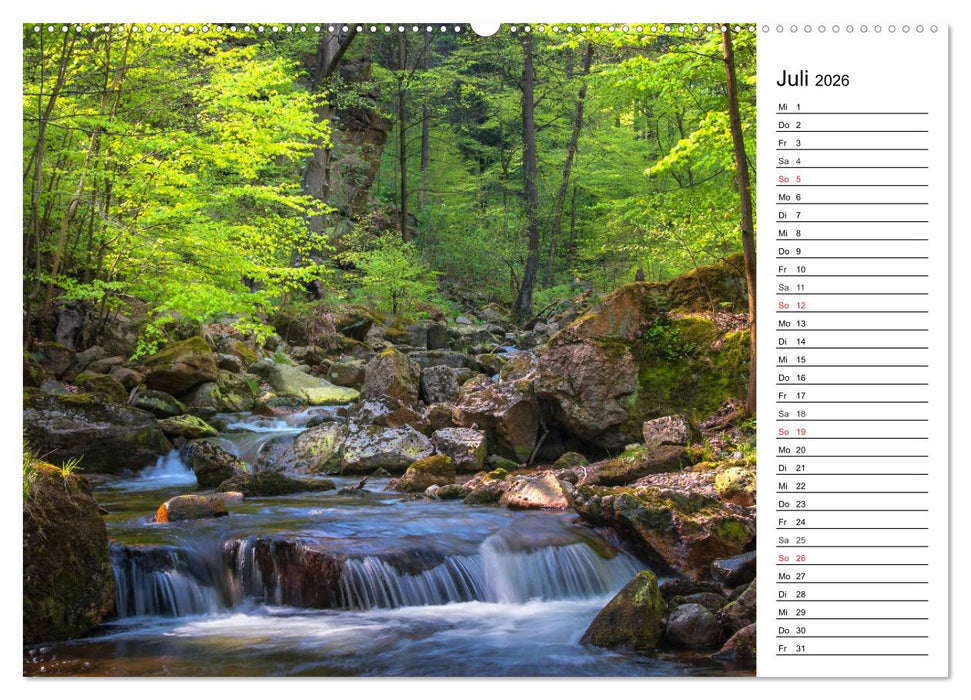 Landschaften im Harz (CALVENDO Premium Wandkalender 2026)