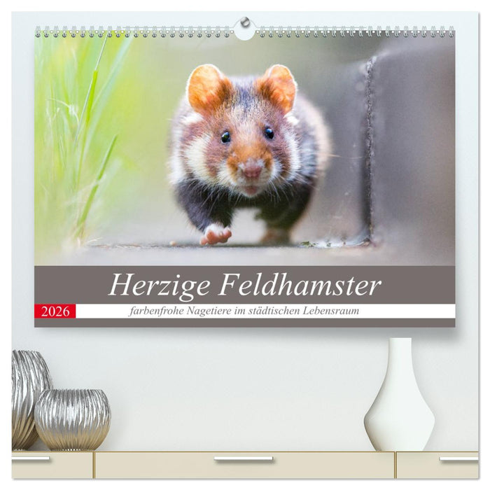 Herzige Feldhamster - farbenfrohe Nagetiere im städtischen Lebensraum (CALVENDO Premium Wandkalender 2026)