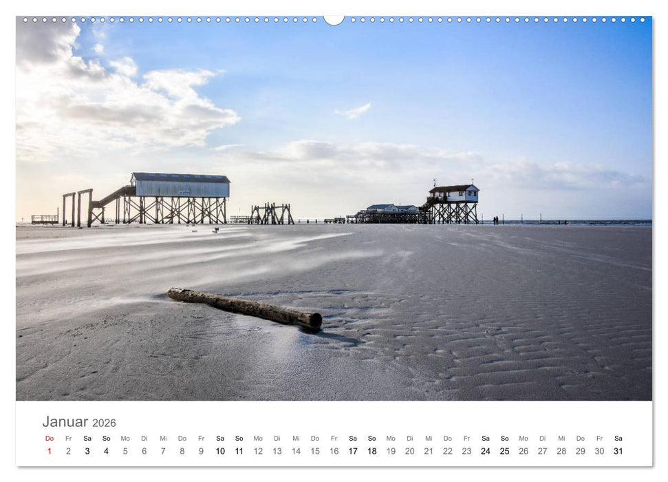 Nordfriesland (CALVENDO Premium Wandkalender 2026)