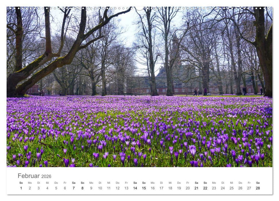 Nordfriesland (CALVENDO Premium Wandkalender 2026)