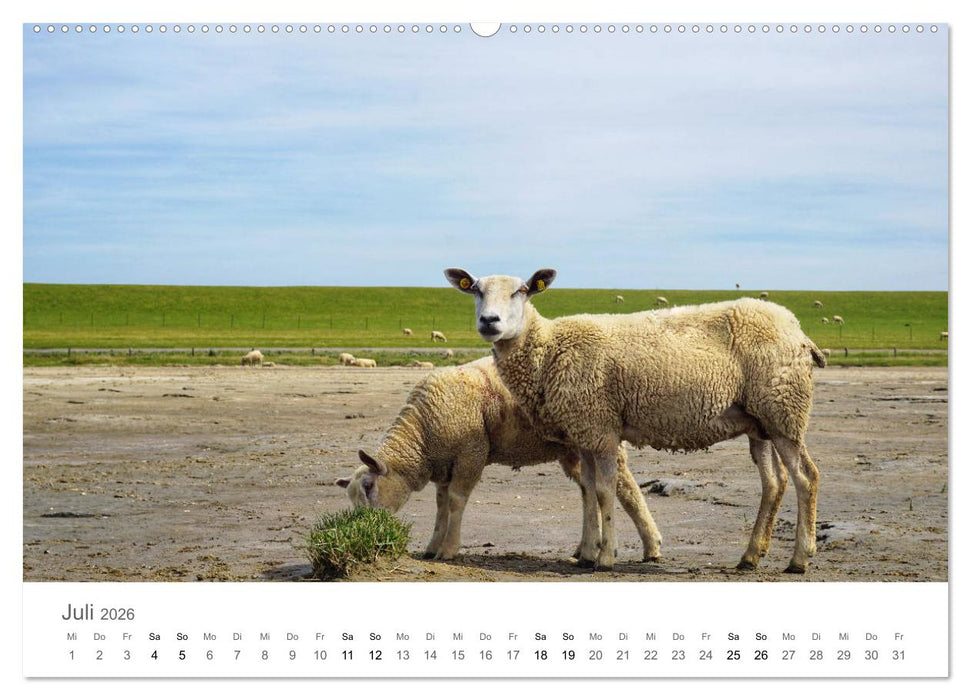 Nordfriesland (CALVENDO Premium Wandkalender 2026)