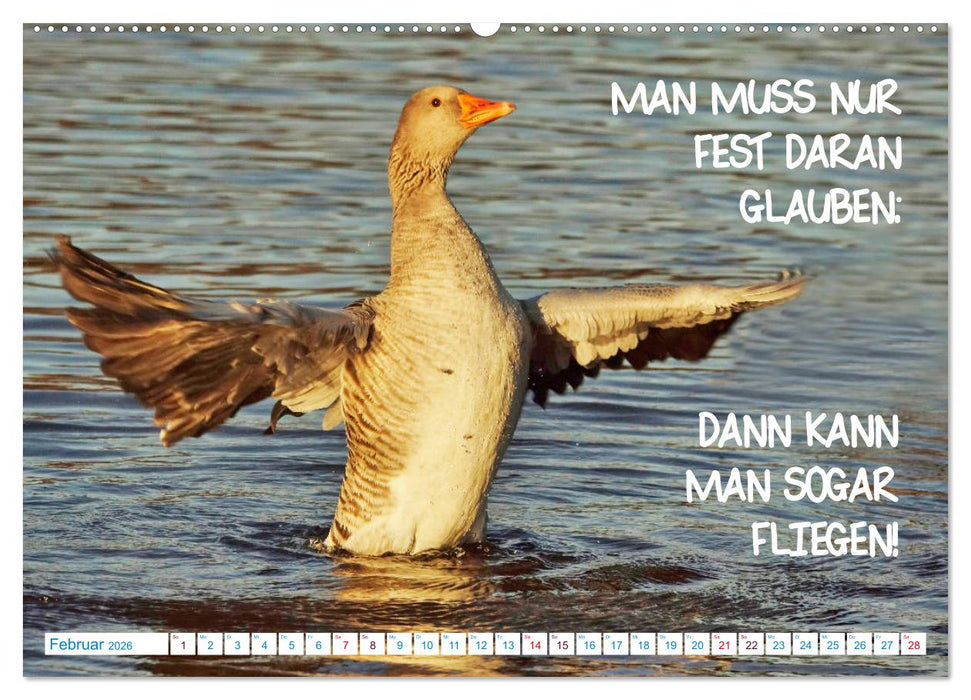 Humorvolles aus der Tierwelt (CALVENDO Wandkalender 2026)