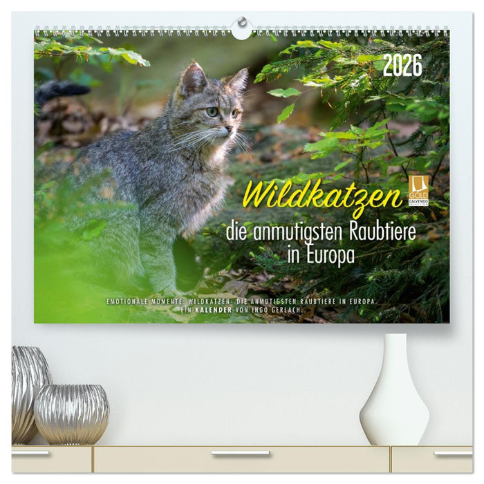 Wildkatzen - die anmutigsten Raubiere in Europa. (CALVENDO Premium Wandkalender 2026)