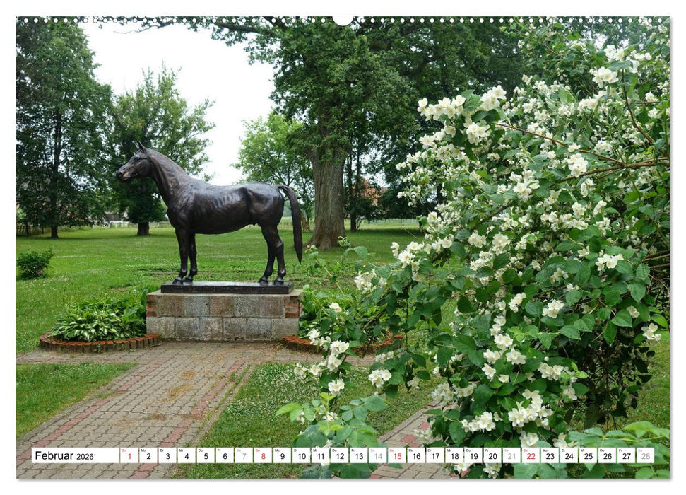 Mythos Trakehnen - Paradies ohne Pferde (CALVENDO Premium Wandkalender 2026)