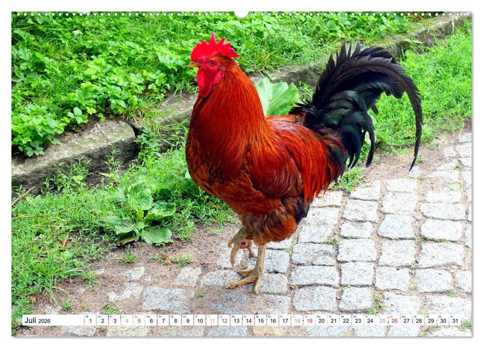 Mythos Trakehnen - Paradies ohne Pferde (CALVENDO Premium Wandkalender 2026)