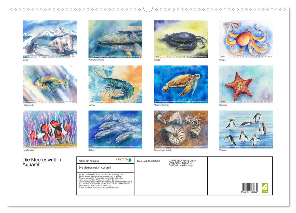Die Meereswelt in Aquarell (CALVENDO Wandkalender 2026)