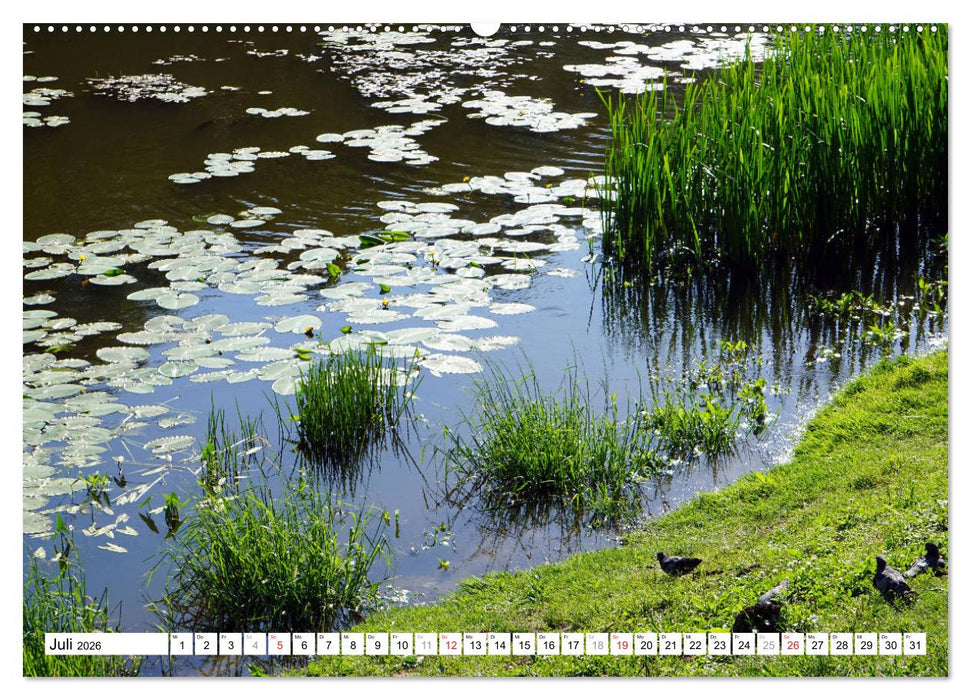 Gumbinnen - Gussew. Das neue Gesicht einer alten Stadt (CALVENDO Premium Wandkalender 2026)