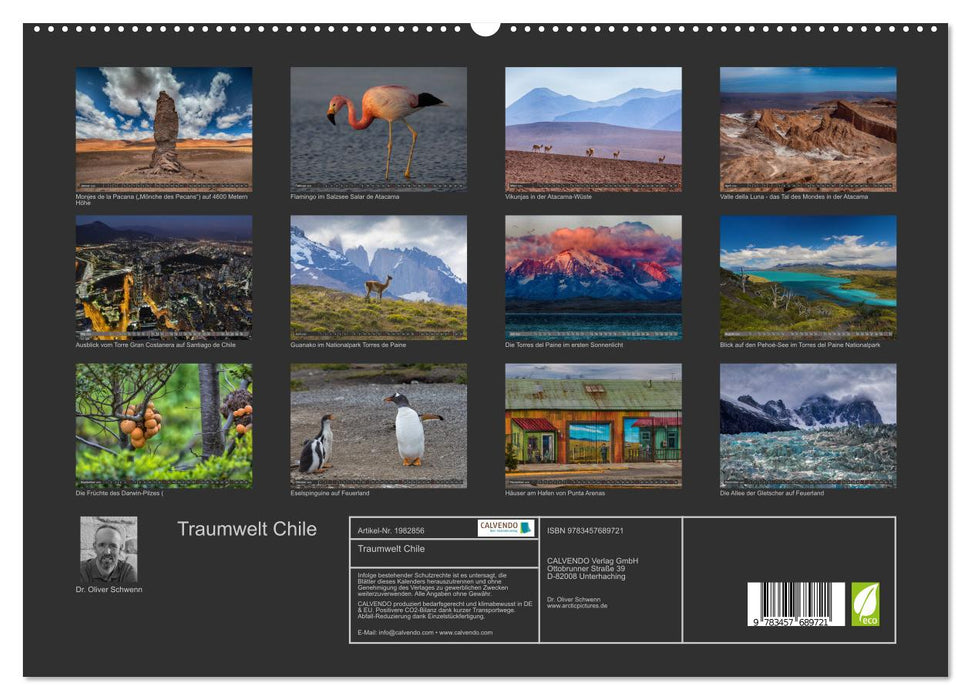 Traumwelt Chile (CALVENDO Premium Wandkalender 2026)