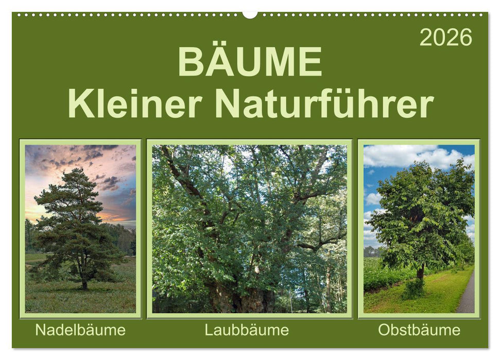 Bäume Kleiner Naturführer (CALVENDO Wandkalender 2026)