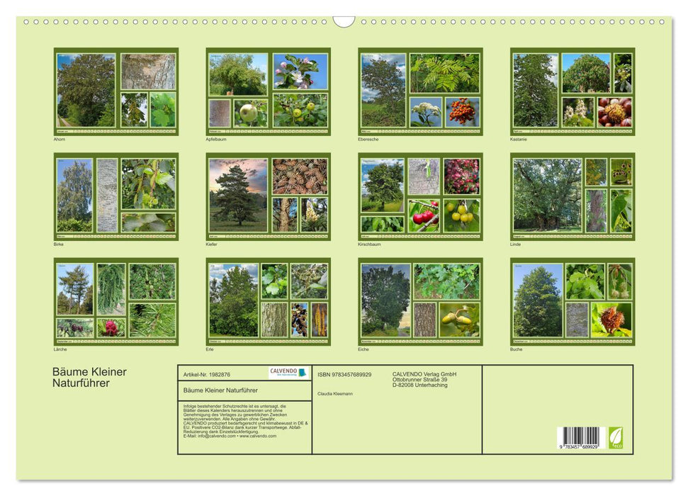 Bäume Kleiner Naturführer (CALVENDO Wandkalender 2026)