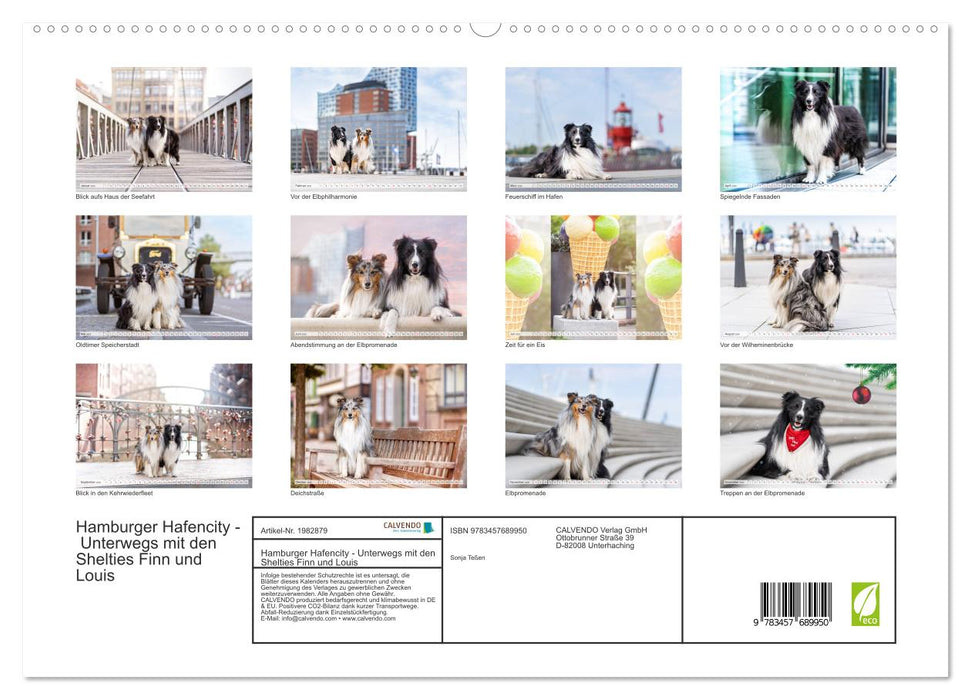 Hamburger Hafencity - Unterwegs mit den Shelties Finn und Louis (CALVENDO Premium Wandkalender 2026)