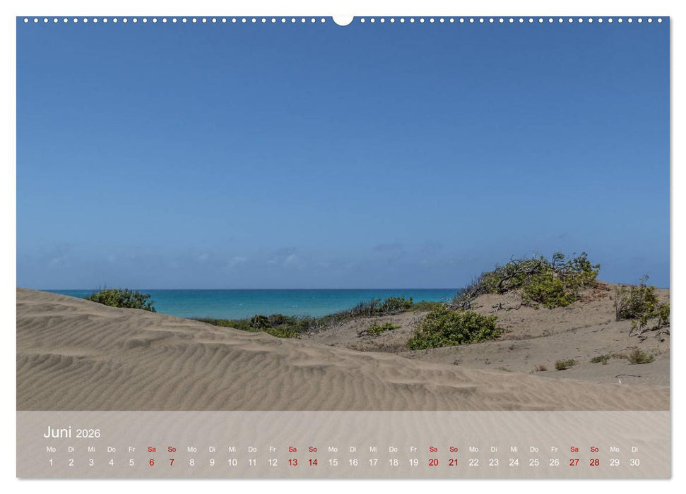 Sehnsucht Dominikanische Republik 2026 (CALVENDO Premium Wandkalender 2026)