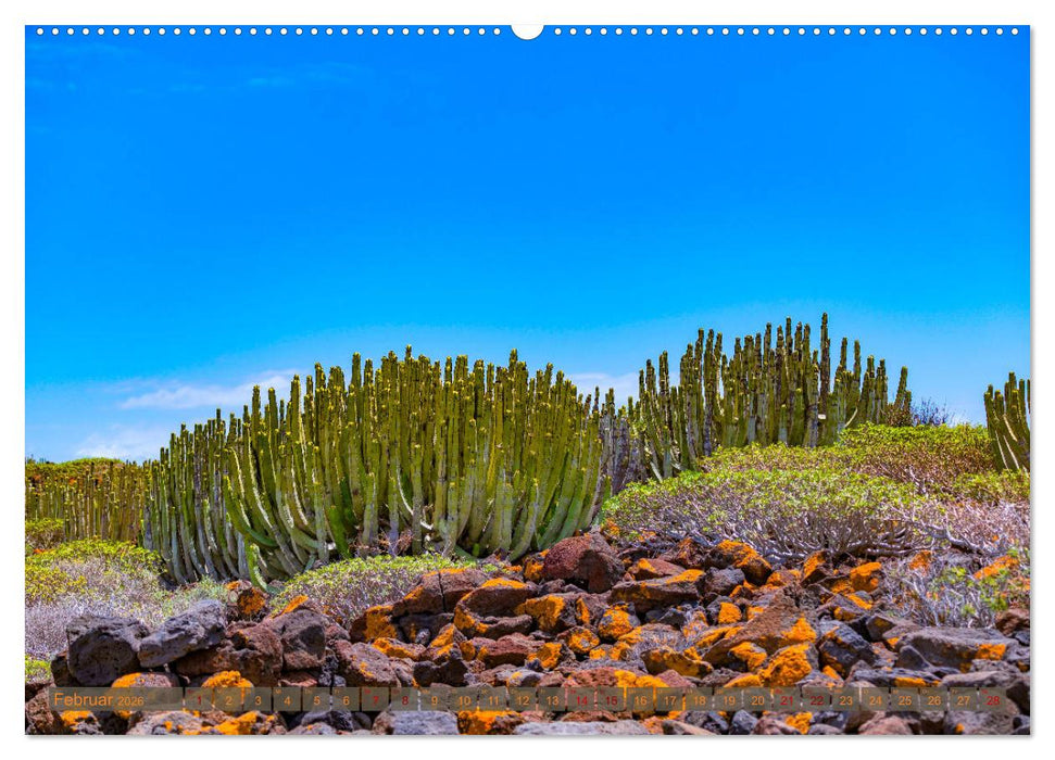 Landschaften der Kanaren - Traumziele für Wanderer (CALVENDO Premium Wandkalender 2026)
