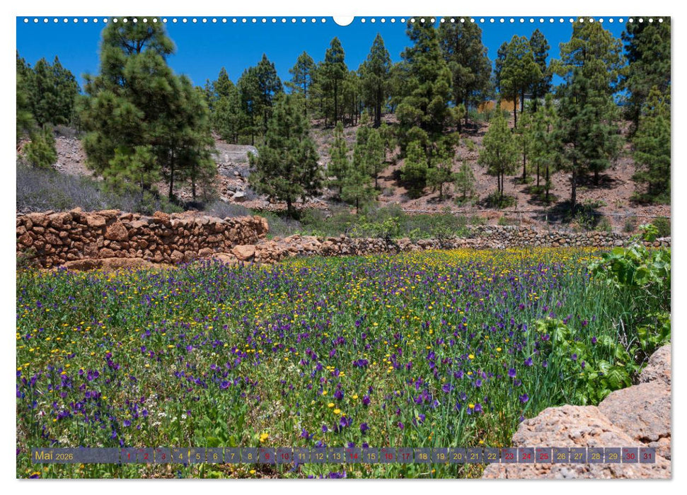 Landschaften der Kanaren - Traumziele für Wanderer (CALVENDO Premium Wandkalender 2026)