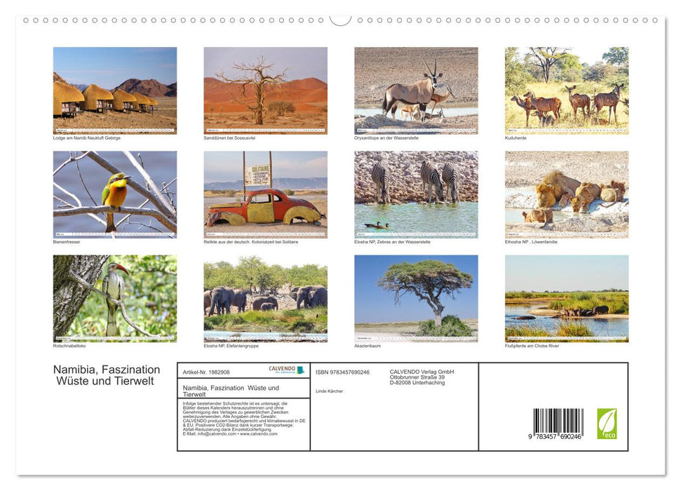 Namibia, Faszination Wüste und Tierwelt (CALVENDO Premium Wandkalender 2026)