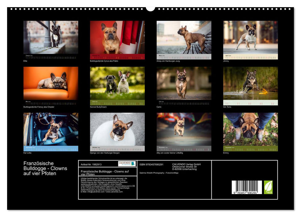 Französische Bulldogge - Clowns auf vier Pfoten (CALVENDO Premium Wandkalender 2026)