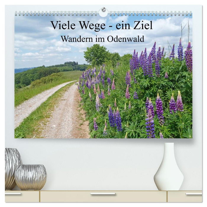 Viele Wege - ein Ziel Wandern im Odenwald (CALVENDO Premium Wandkalender 2026)