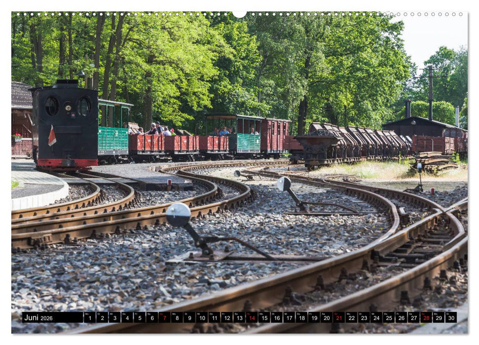Weißwasser - Phoenix aus Glas und Kohle (CALVENDO Premium Wandkalender 2026)