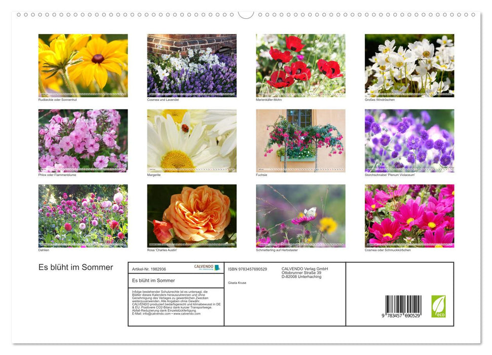 Es blüht im Sommer (CALVENDO Premium Wandkalender 2026)