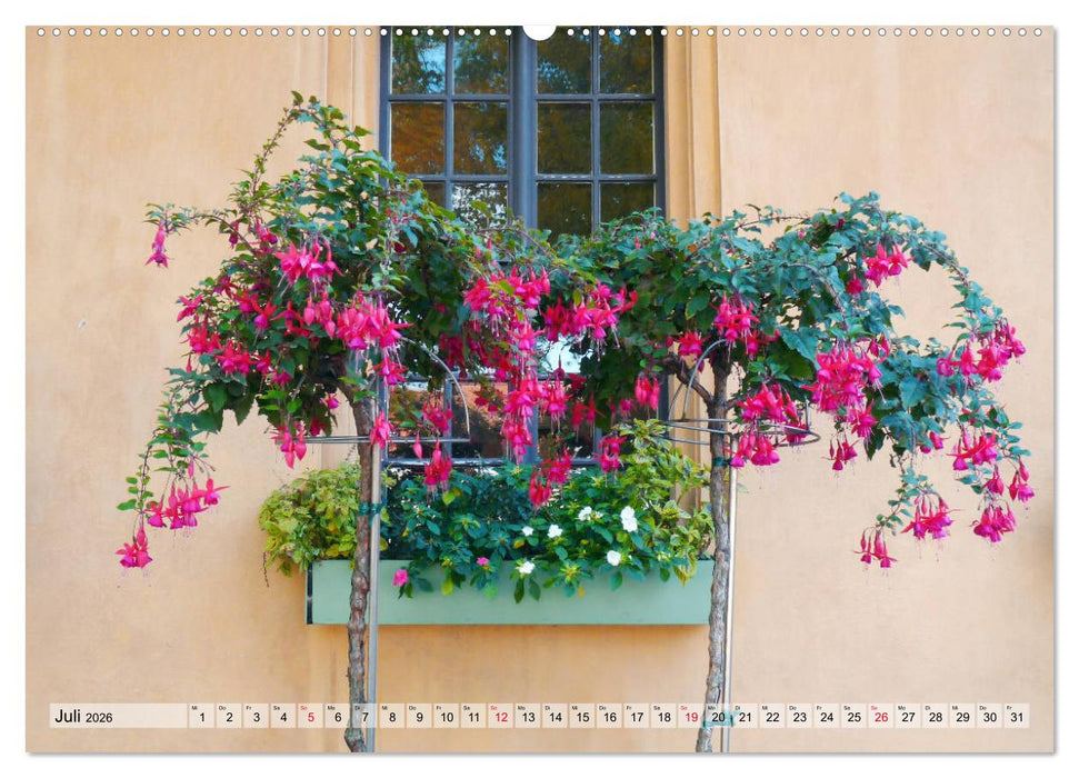Es blüht im Sommer (CALVENDO Premium Wandkalender 2026)