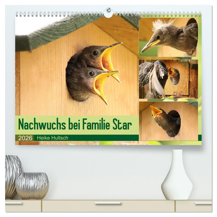 Nachwuchs bei Familie Star (CALVENDO Premium Wandkalender 2026)