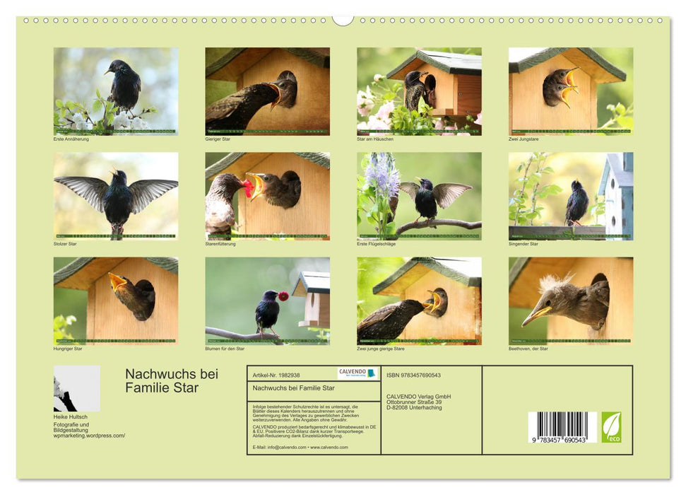 Nachwuchs bei Familie Star (CALVENDO Premium Wandkalender 2026)