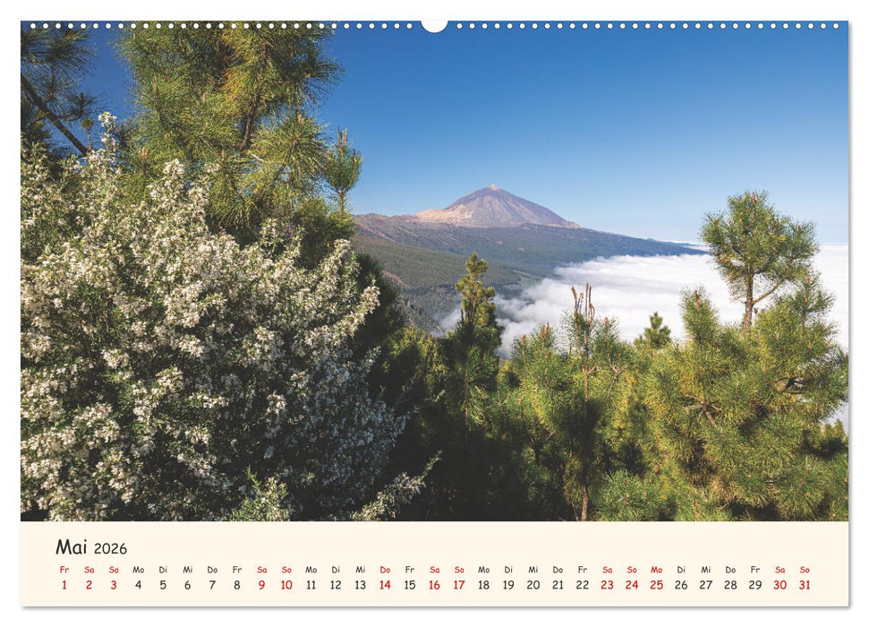 Teneriffa in Bildern (CALVENDO Wandkalender 2026)