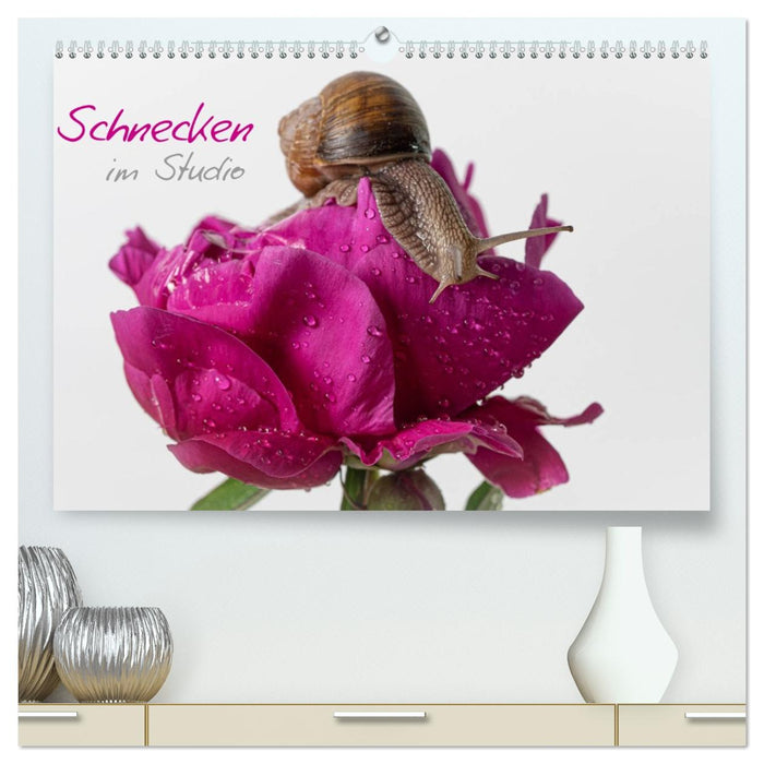 Schnecken im Studio (CALVENDO Premium Wandkalender 2026)