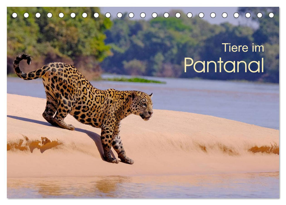 Tiere im Pantanal - viaje.ch (CALVENDO Wandkalender 2026)
