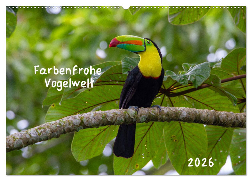 Farbenfrohe Vogelwelt (CALVENDO Wandkalender 2026)