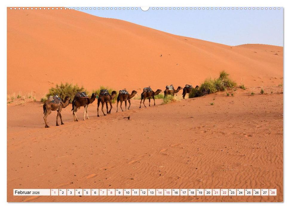 MAROKKO, ein faszinierendes Königreich (CALVENDO Premium Wandkalender 2026)