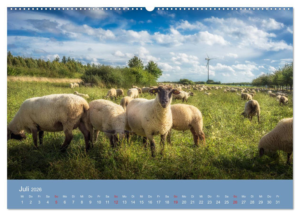 Kronsberg Hannover (CALVENDO Premium Wandkalender 2026)