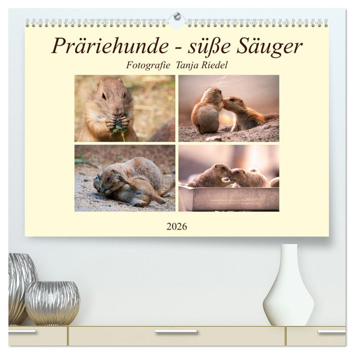 Präriehunde - süße Säuger (CALVENDO Premium Wandkalender 2026)