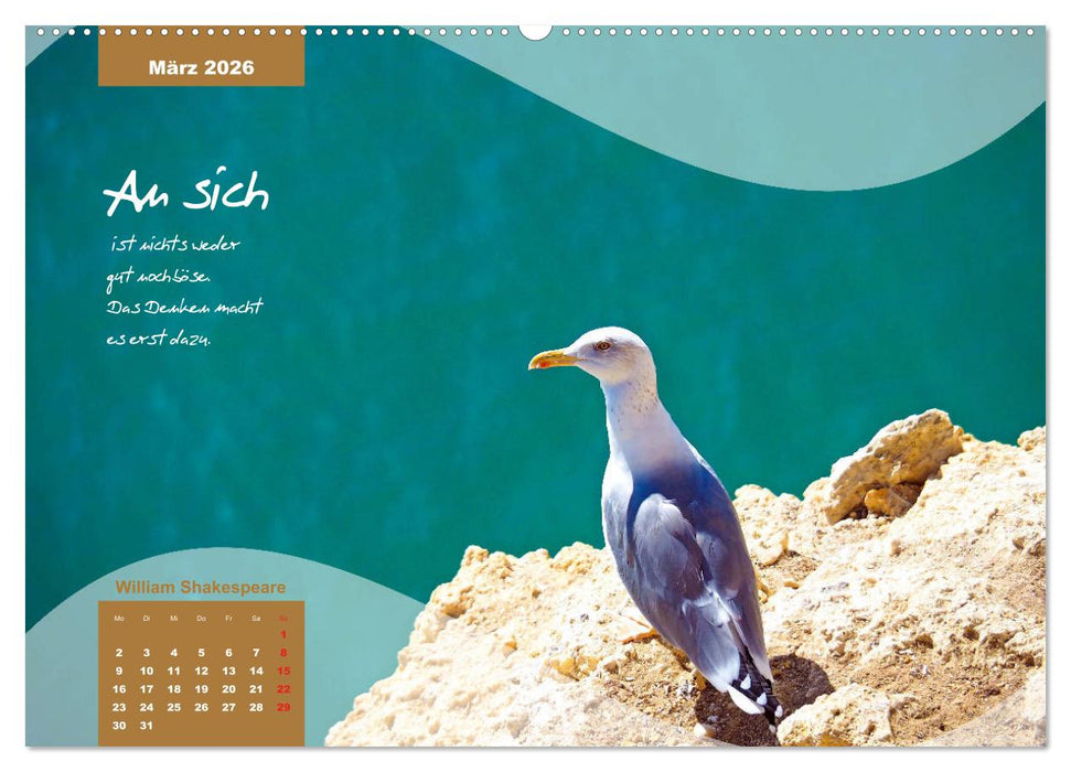Mittelmeer, Meer, Wellen, Strand, Muscheln, Sand & Zitate (CALVENDO Wandkalender 2026)