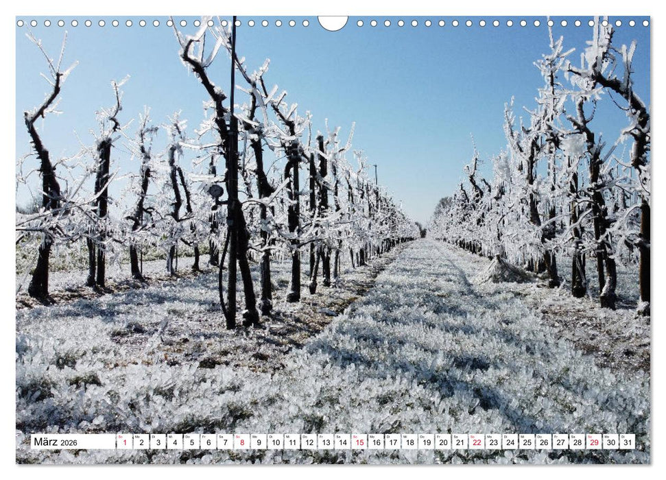 Lehrte (CALVENDO Wandkalender 2026)