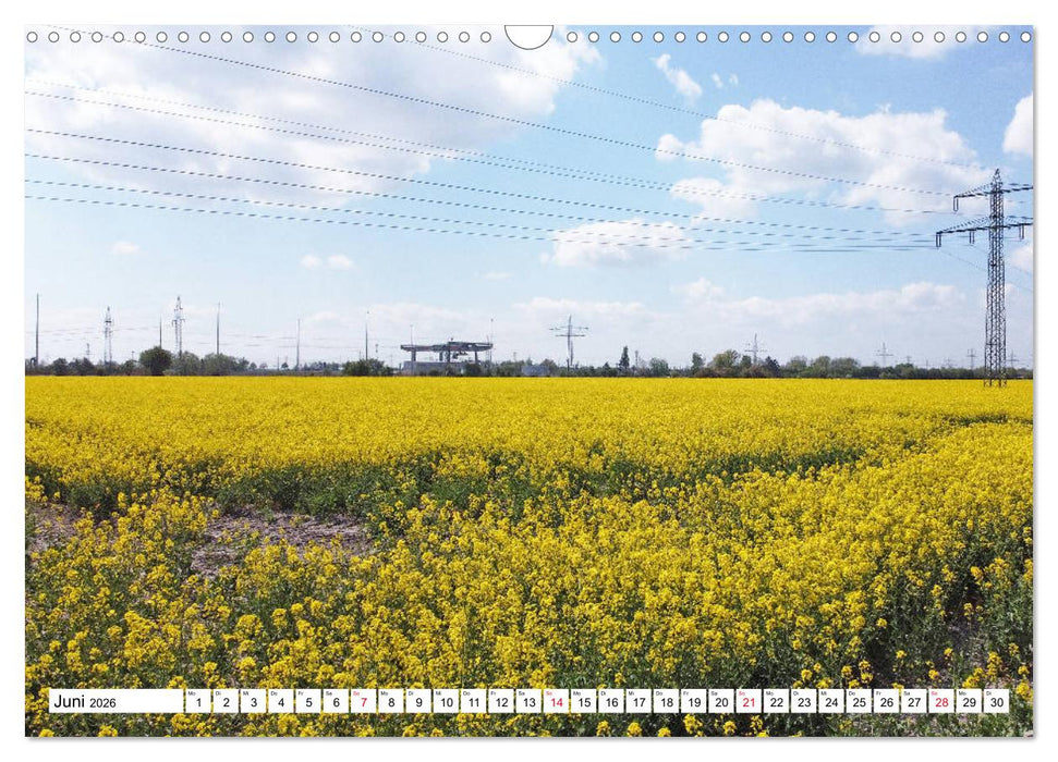 Lehrte (CALVENDO Wandkalender 2026)