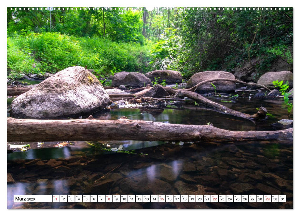 Brandenburgs Gewässer (CALVENDO Premium Wandkalender 2026)