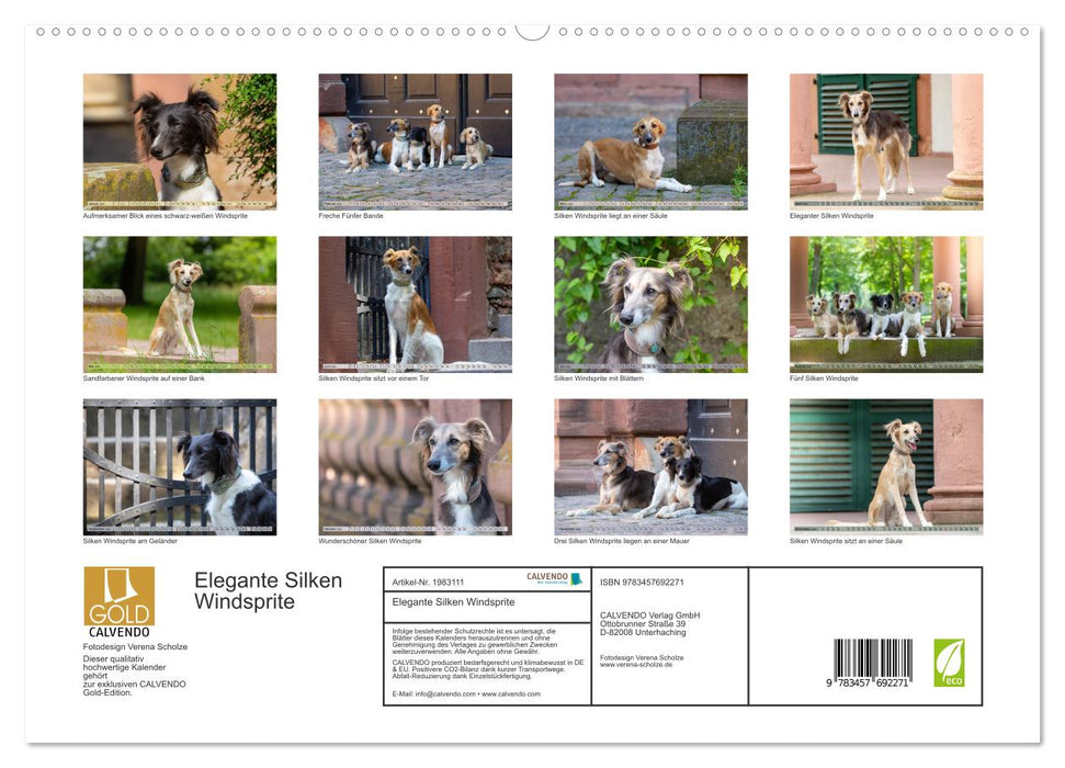 Elegante Silken Windsprite (CALVENDO Premium Wandkalender 2026)