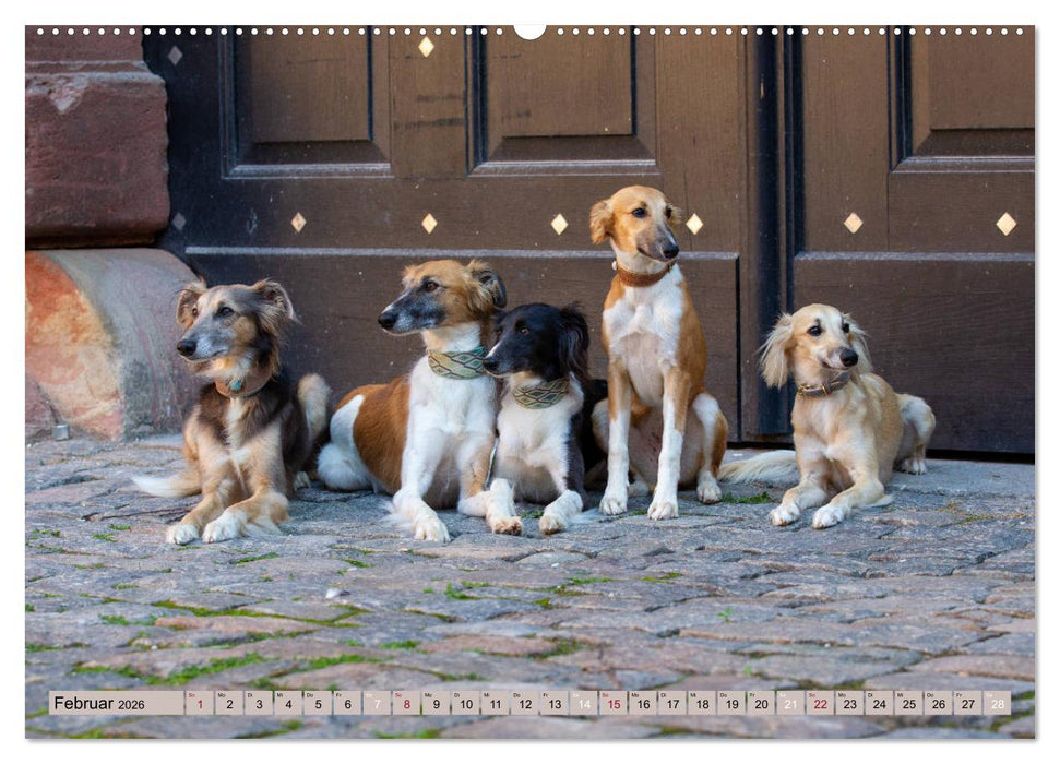 Elegante Silken Windsprite (CALVENDO Premium Wandkalender 2026)