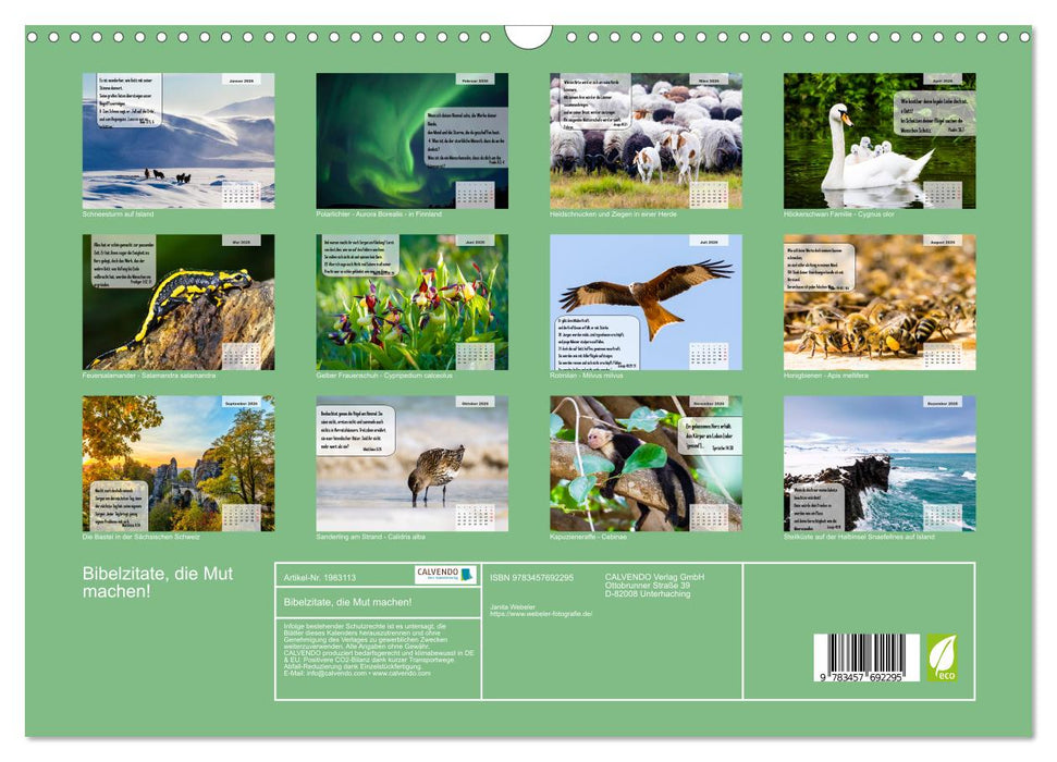 Bibelzitate, die Mut machen! (CALVENDO Wandkalender 2026)
