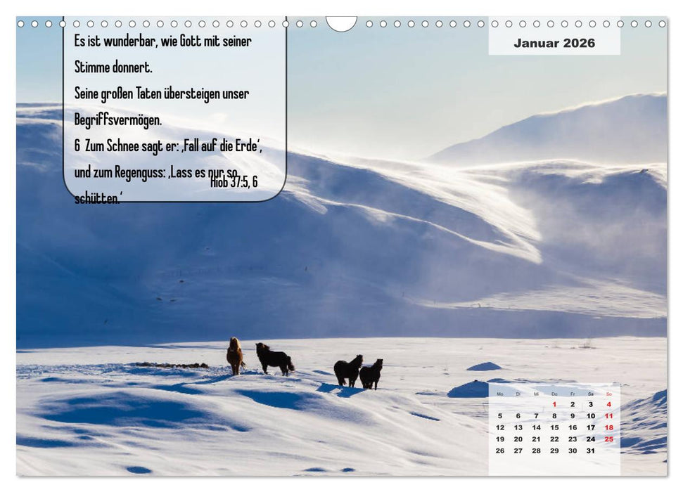 Bibelzitate, die Mut machen! (CALVENDO Wandkalender 2026)