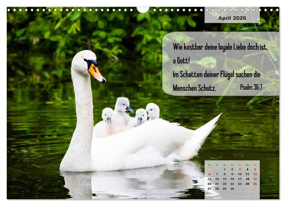 Bibelzitate, die Mut machen! (CALVENDO Wandkalender 2026)