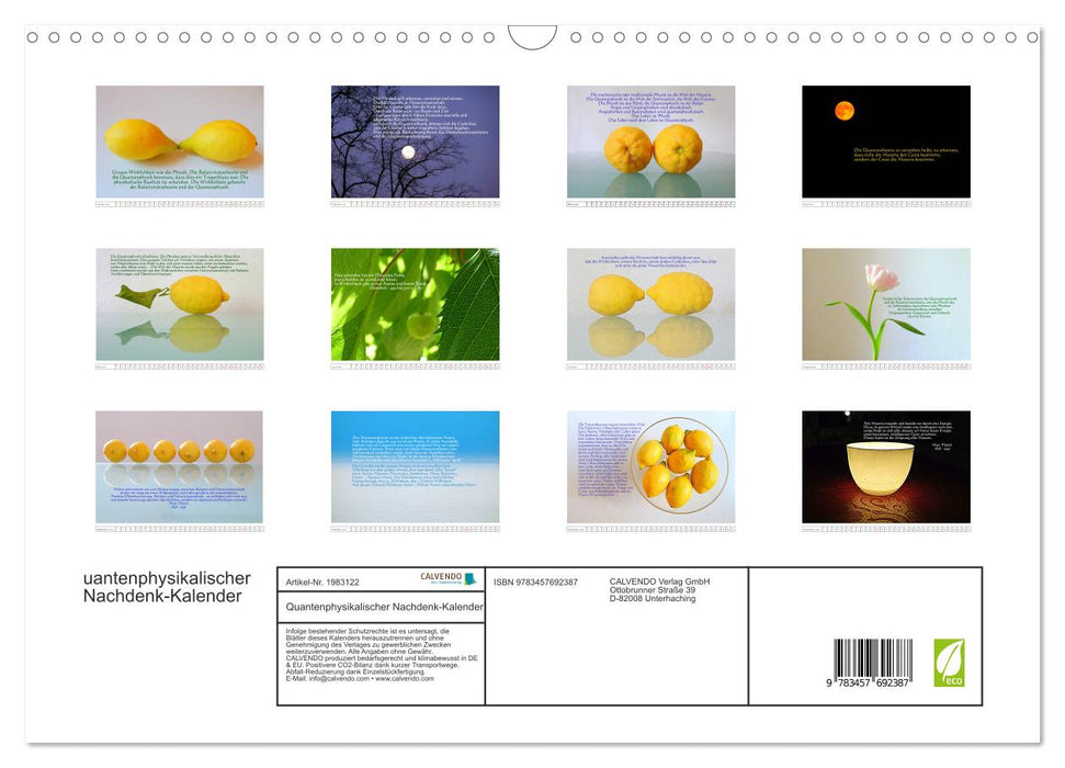 Quantenphysikalischer Nachdenk-Kalender (CALVENDO Wandkalender 2026)