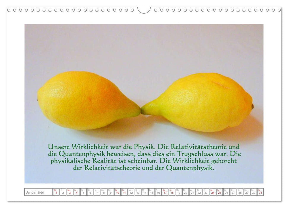 Quantenphysikalischer Nachdenk-Kalender (CALVENDO Wandkalender 2026)