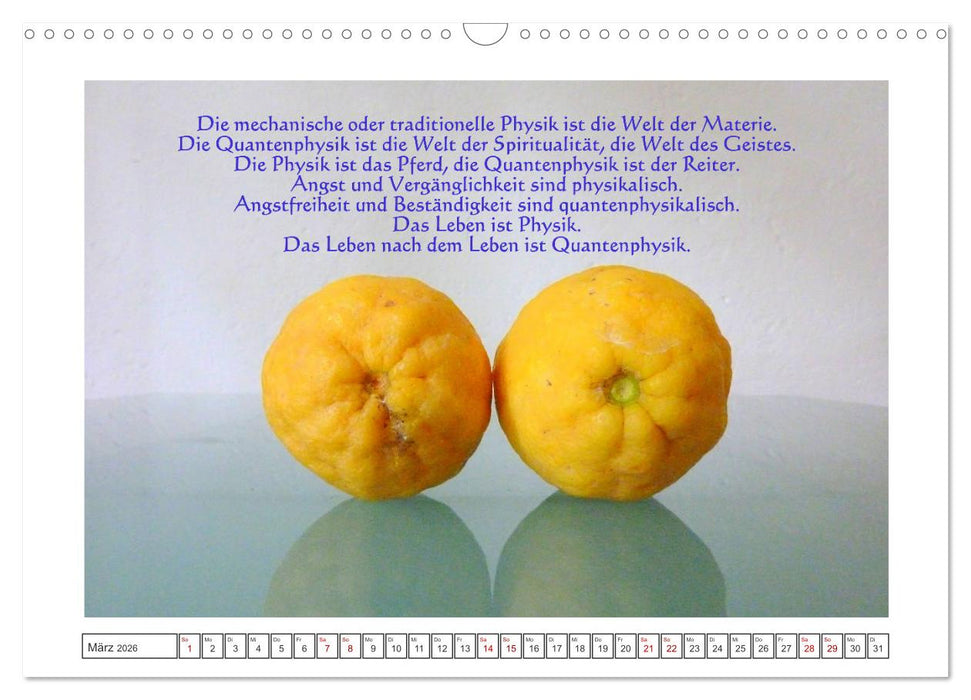Quantenphysikalischer Nachdenk-Kalender (CALVENDO Wandkalender 2026)