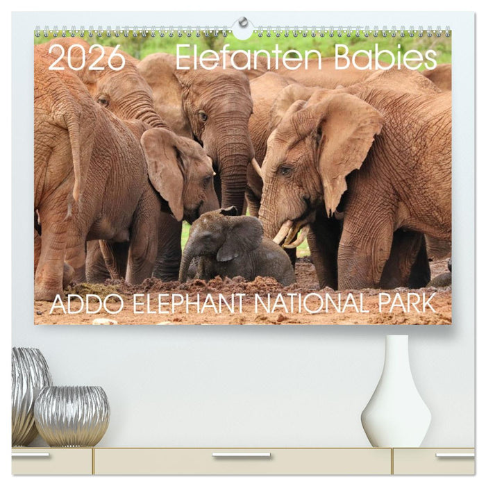 ADDO ELEPHANT NATIONAL PARK Elefanten Babies (CALVENDO Premium Wandkalender 2026)